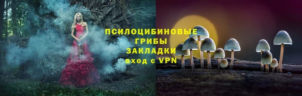 героин Бородино