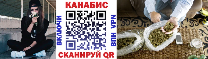 купить наркотик  Волосово  Бошки марихуана тримм 